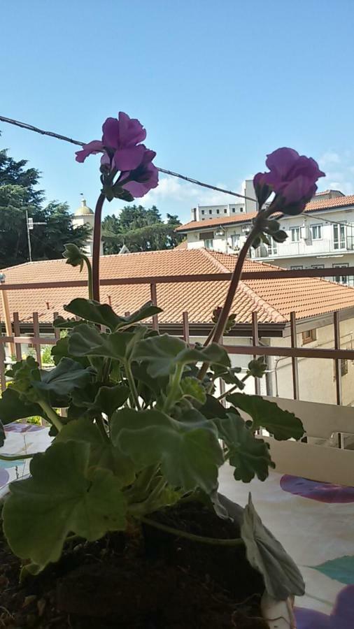 Casa Xenìa Casa vacanze *