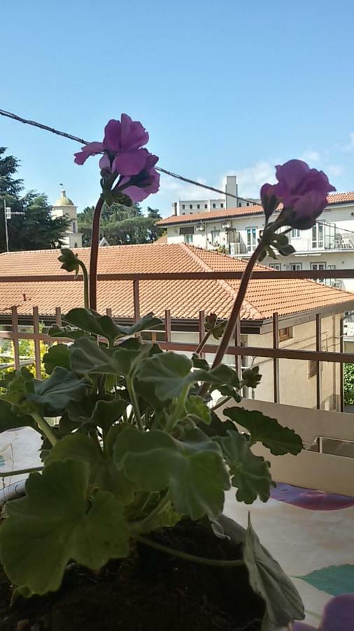 Casa Xenia *