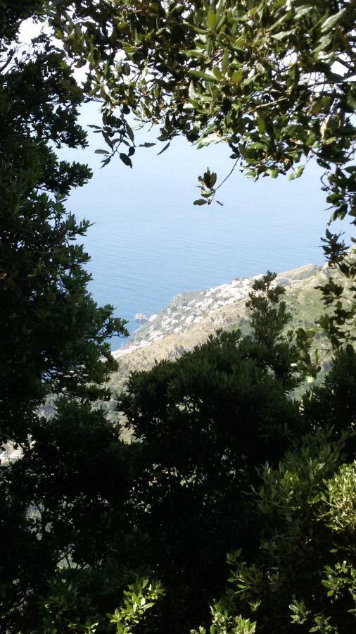 Holiday home Casa Xenia Agerola